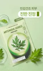 BRINGGREEN Fresh Mask Sheet 10P 4Options To Choose - Image 4