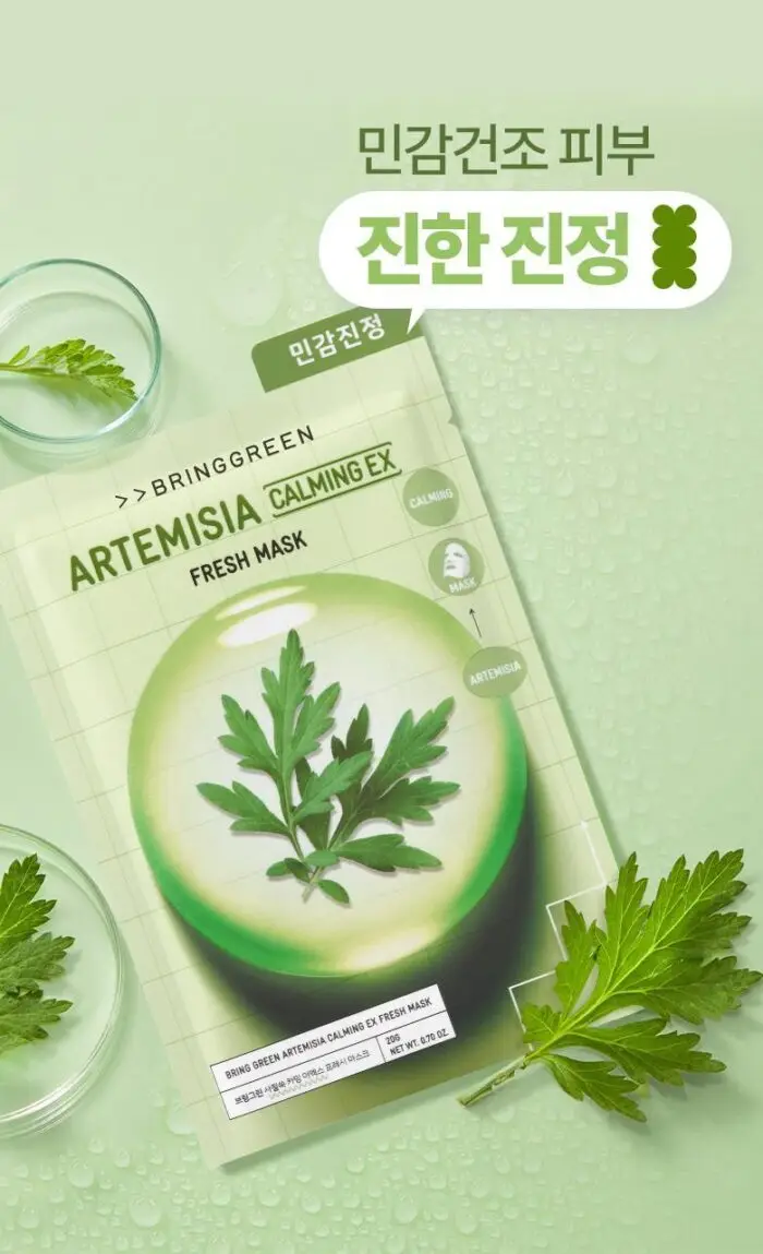 BRINGGREEN Fresh Mask Sheet 10P 4Options To Choose - Image 4