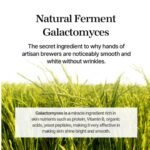 Mixsoon Galactomyces Ferment Essence 100ml - Image 5