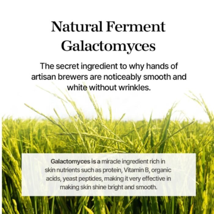 Mixsoon Galactomyces Ferment Essence 100ml - Image 5