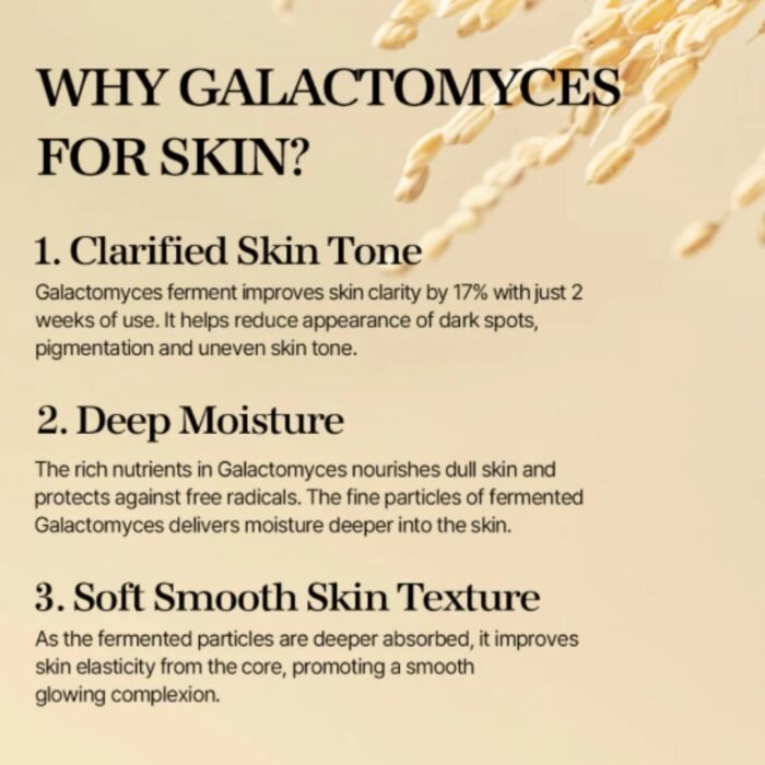 Mixsoon Galactomyces Ferment Essence 100ml - Image 6