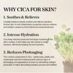 Mixsoon Soondy Centella Asiatica Essence 100ml - Image 8