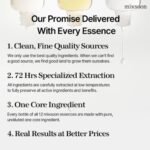 Mixsoon Galactomyces Ferment Essence 100ml - Image 8