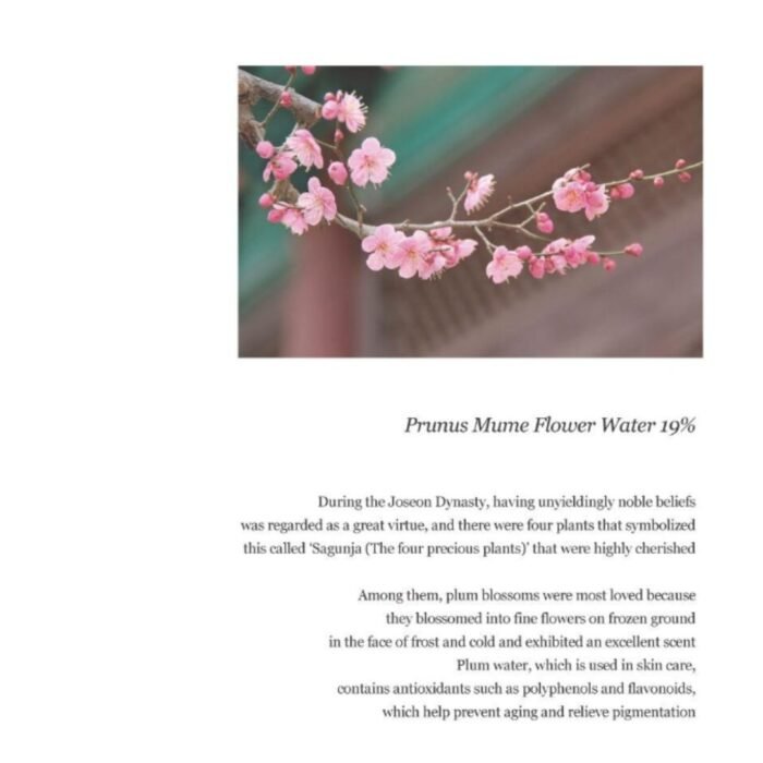 Beauty of Joseon Apricot Blossom Peeling Gel 100mL - Image 7