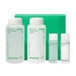INNISFREE Green Tea Seed Hyaluronic Skin Care Set